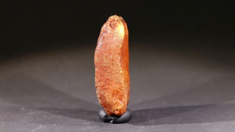 Bitterfelder Bernstein