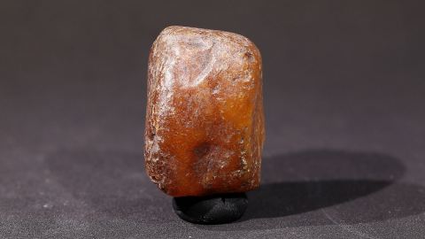 Bitterfelder Bernstein