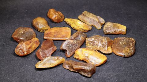 Baltischer Bernstein