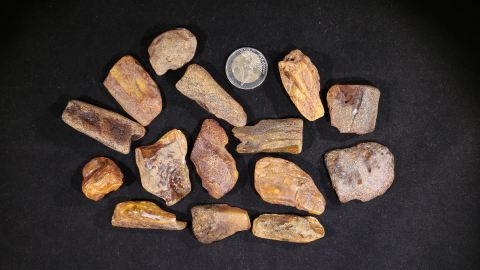 Baltischer Bernstein