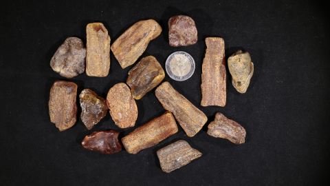 Baltischer Bernstein