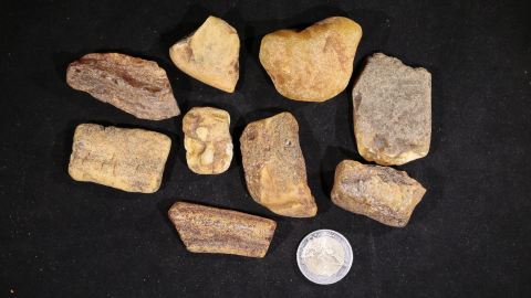 Baltischer Bernstein