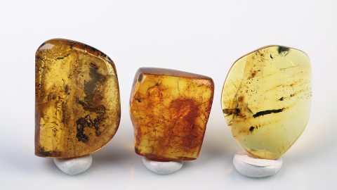 Bernstein Einschlüsse Set bestehend aus drei Baltischen Bernsteinen