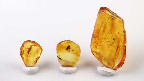 Bernstein Inklusen Set bestehend aus drei Baltischen Bernsteinen
