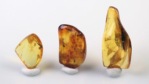 Bernstein Inklusen Set bestehend aus drei Baltischen Bernsteinen