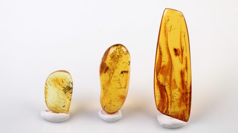 Bernstein Inklusen Set bestehend aus drei Baltischen Bernsteinen