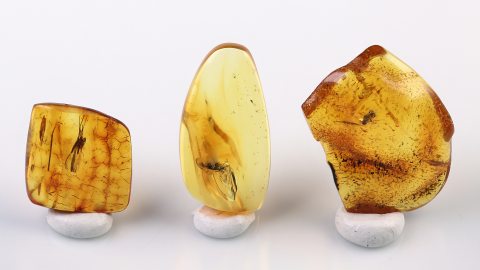 Bernstein Inklusen Set bestehend aus drei Baltischen Bernsteinen