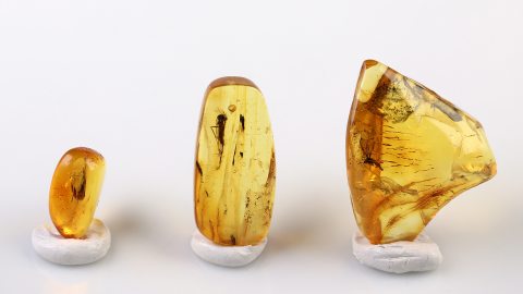 Bernstein Inklusen Set bestehend aus drei Baltischen Bernsteinen