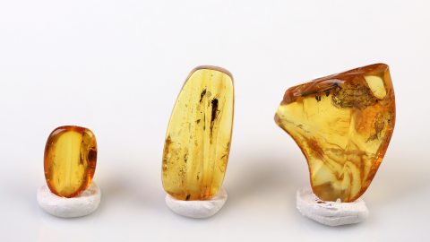 Bernstein Einschlüsse Set bestehend aus drei Baltischen Bernsteinen