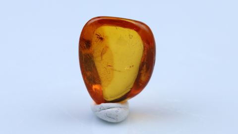 Bernstein Inklusen Set