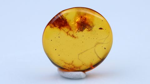 Bernstein Inklusen bestehend aus drei Baltischen Bernsteinen