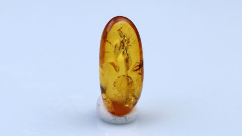 Bernstein Inklusen bestehend aus drei Baltischen Bernsteinen