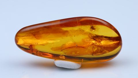 Bernstein Einschlüsse bestehend aus drei Baltischen Bernsteinen