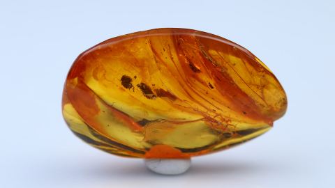 Baltischer Bernstein geschliffen und poliert