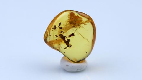 Baltischer Bernstein geschliffen und poliert