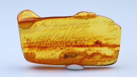 Bernstein Inklusen bestehend aus drei Baltischen Bernsteinen