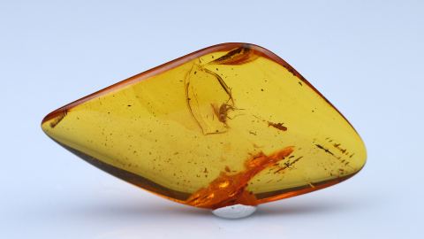 Baltischer Bernstein geschliffen und poliert