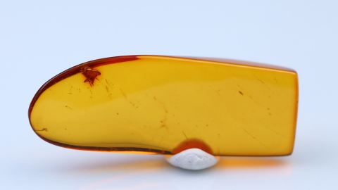 Baltischer Bernstein geschliffen und poliert