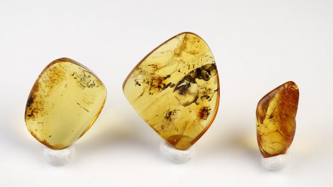 Inklusen Set bestehend aus drei Baltischen Bernsteinen
