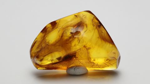 Bernstein Inklusen Set