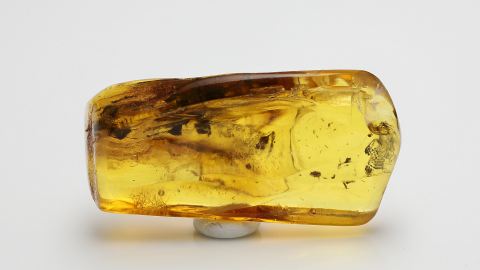 Bernstein Einschlüsse preiswert im Set