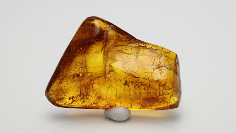 Set Bernstein Einschlüsse