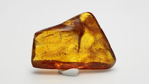 Inklusen Set im Bernstein