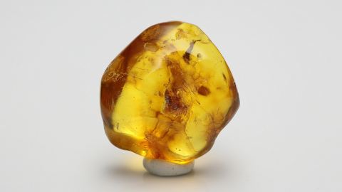 drei Baltische Bernsteine