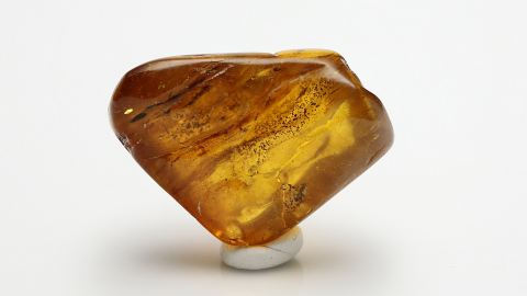 Set Bernstein Einschlüsse