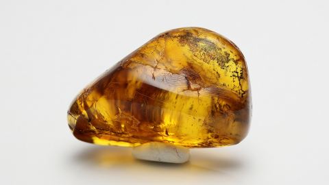 drei Baltische Bernsteine