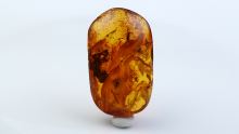 Baltischer Bernstein von Hand geschliffen