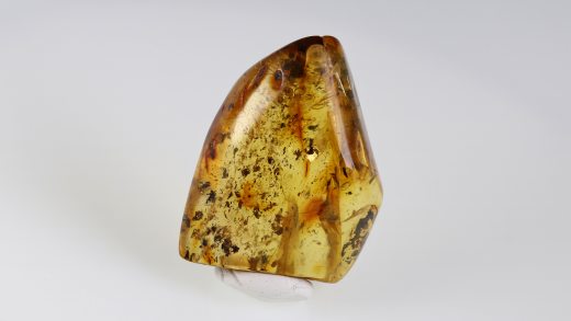 Baltischer Bernstein