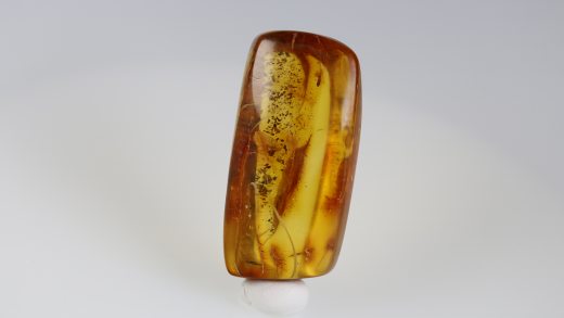 Naturbernstein poliert