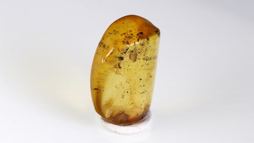 Naturbernstein poliert