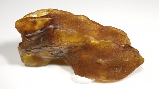 Baltischer Bernstein