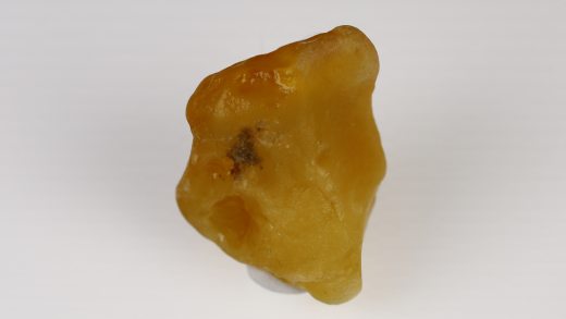 Baltischer Bernstein