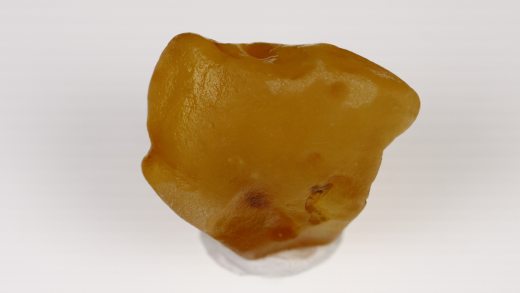 Baltischer Bernstein