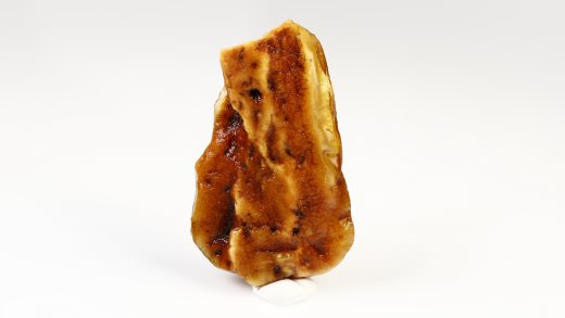 Baltischer Bernstein 12,7 Gramm