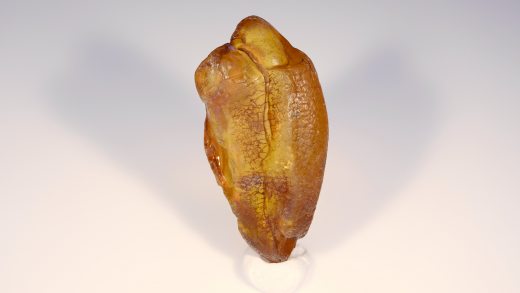 Baltischer Bernstein