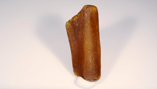 Baltischer Bernstein