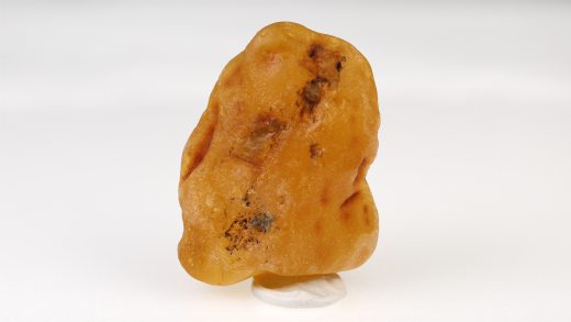 Baltischer Bernstein